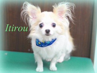 イケダイチロウ150725