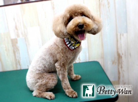 タカハラムース160425