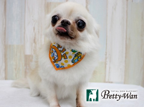 ニシカワキナコ160513