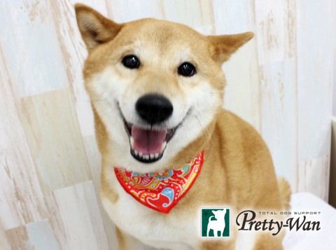 ツボイネネ160529