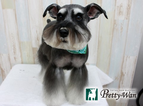 ニシオガイ160224