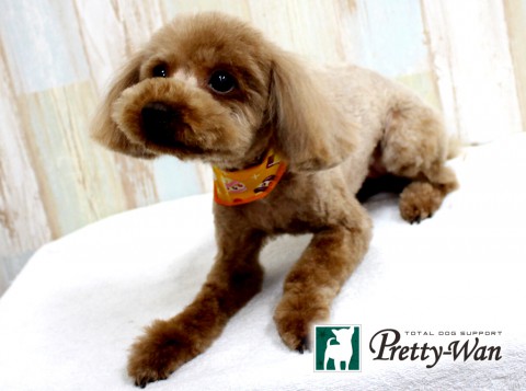 サカガミラン160430