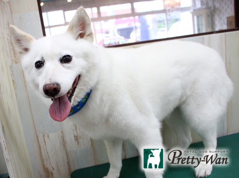 ホリイケタロウ160516