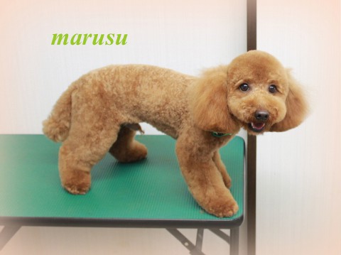 4月8日北原マルス