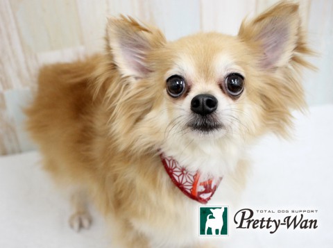 ツルミイチロー160611