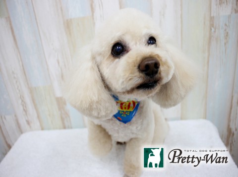 キリムラグッチ160502