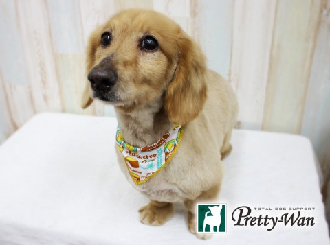 カワイオースケ160418