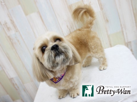 トウボウリュウ160415