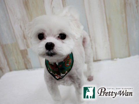 スギムラマル160513