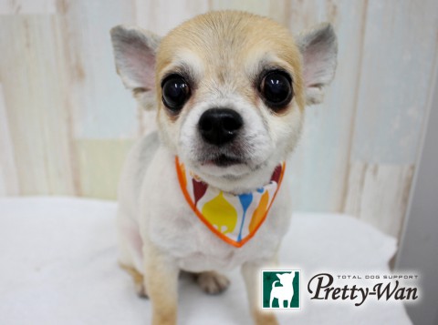 モチヅキユナ160702