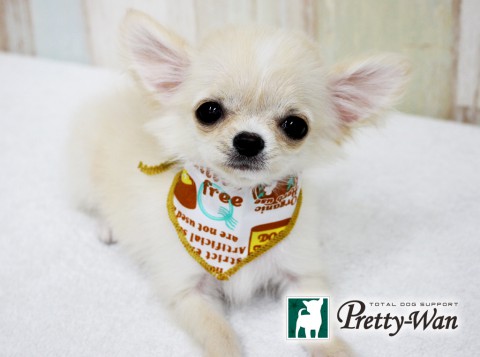 ニシグチメル160607