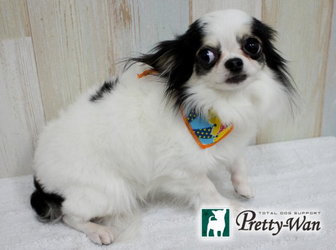 ツルタモーコ160612