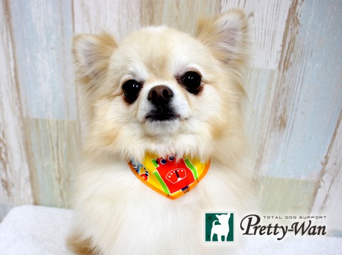 マツダレン160501