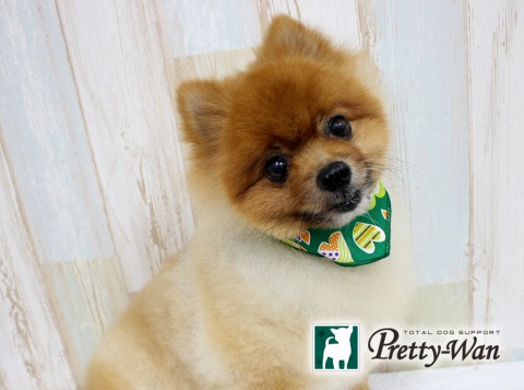 キリヤマテン160626