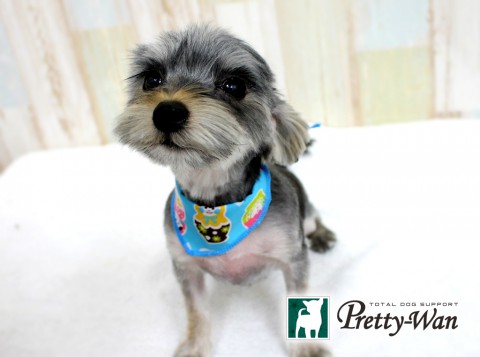 ナガイハル160422