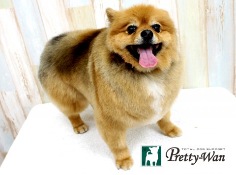 サカモトミルク160501