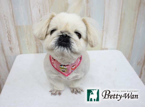 イシカワクウ160307