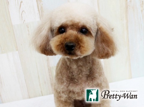 ミノヤメルシー160611