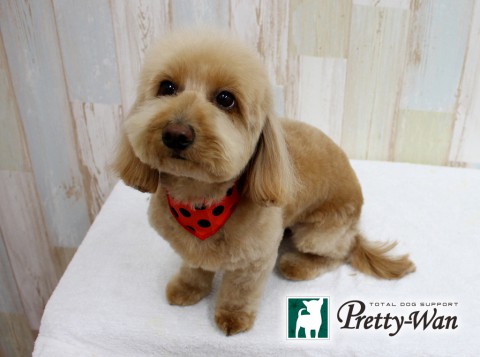 カワイミシェル160211