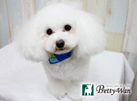 カトウアグ160409