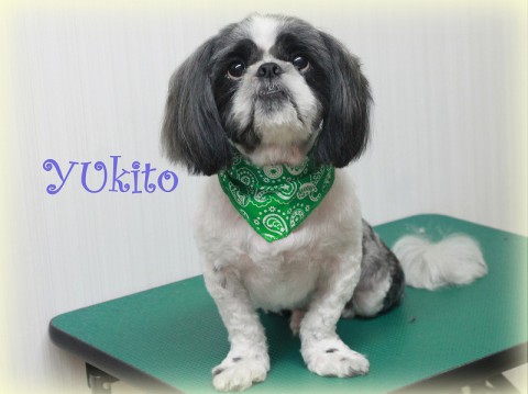 ハヤミユキト150809