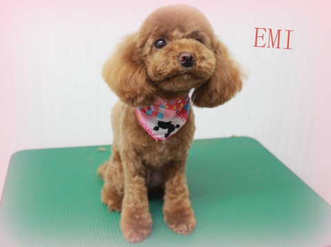 3月28日三ツ口エミ