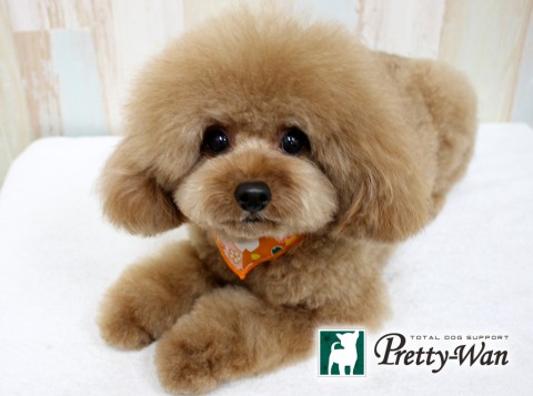 カンダマロン160320