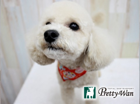 イソガワユズ20160620