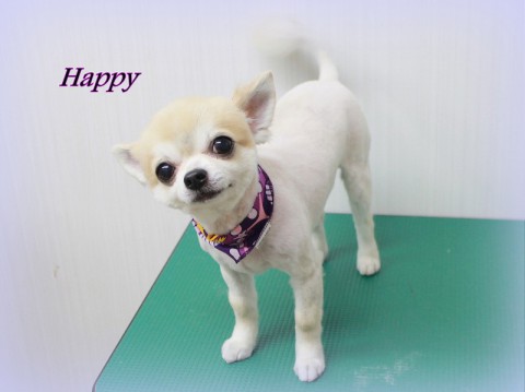 タケウチハッピー150529