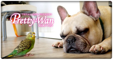 プリティーワントラコレ