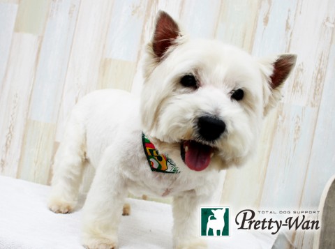 ワタナベメロディ160506