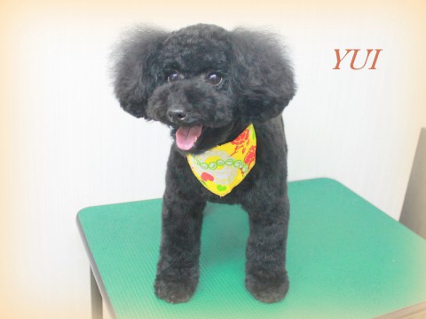 4月21日永井ゆい