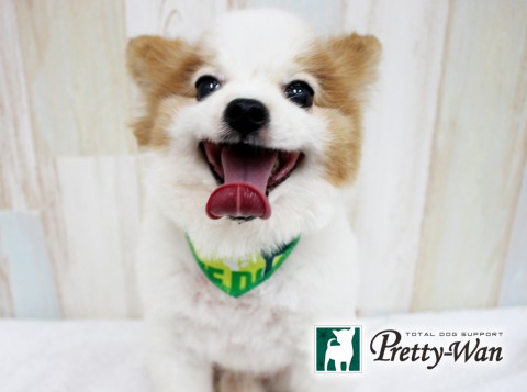 イイダリュウ160528