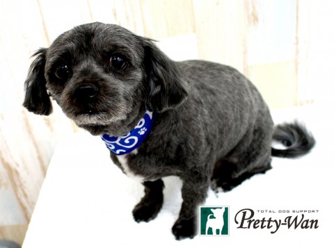 フジイクロ160511