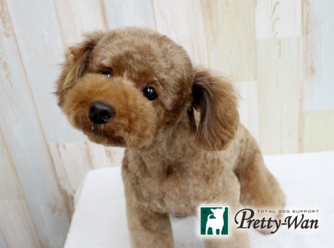 キムラメイ160516