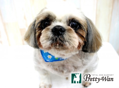 ニシムラトッポ160426