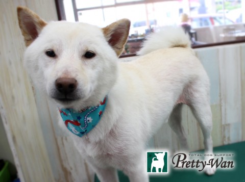 マキタロウ160418