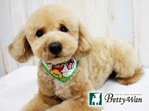 タチバナモモ160424