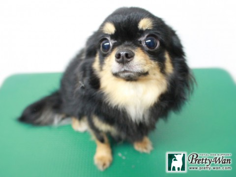 ヨコイナッツ160116