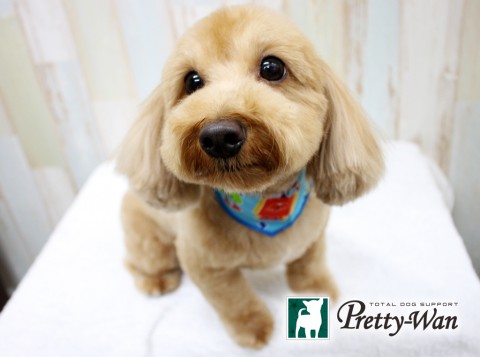 シラヒゲモッキー160504