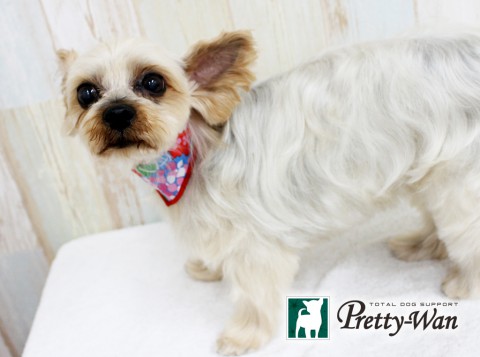 オカベハッピー160529