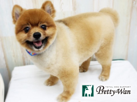 モリヤマペン160405