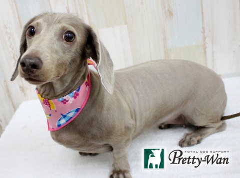 ツルタココア160612