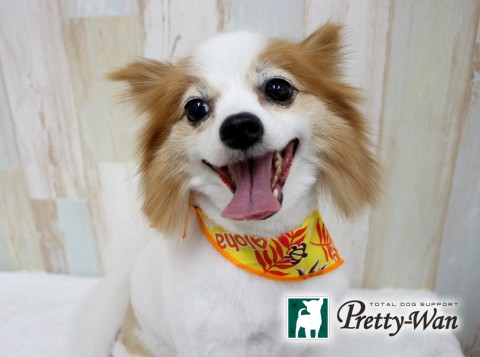 キムラニスモ160625