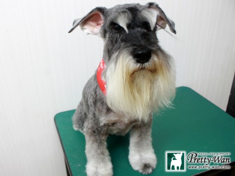 クノアケミ151204