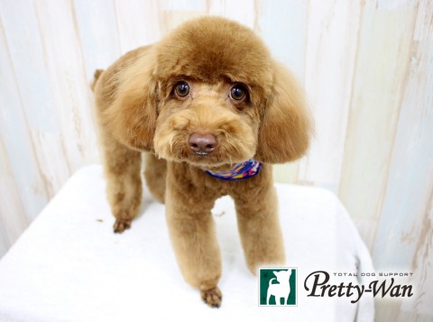 オガワリアン160304