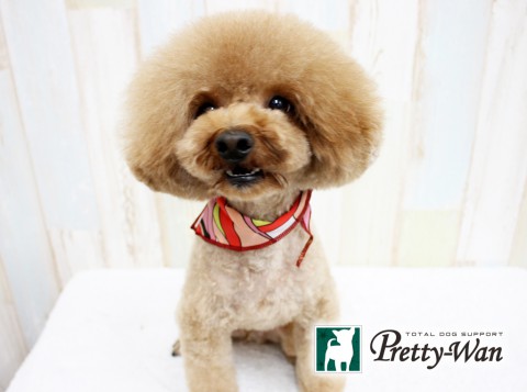 キタココア160618