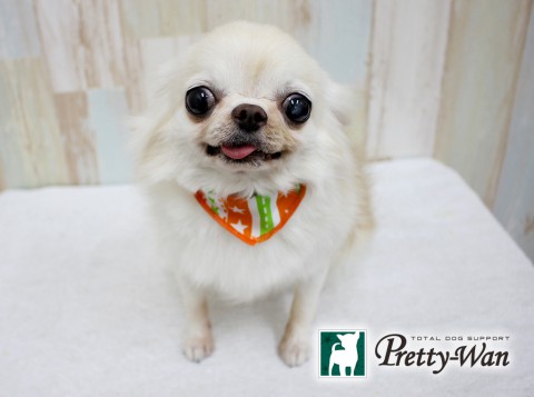 ニシカワキナコ160308