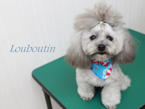 ホンダルブタン150926