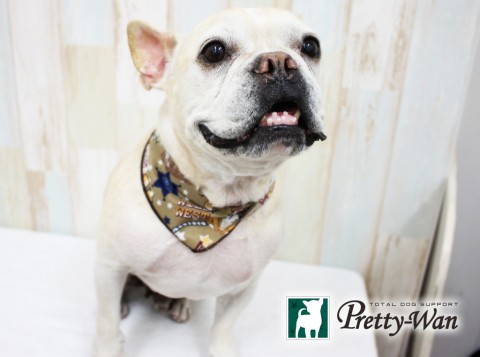 カワデワンダ160430